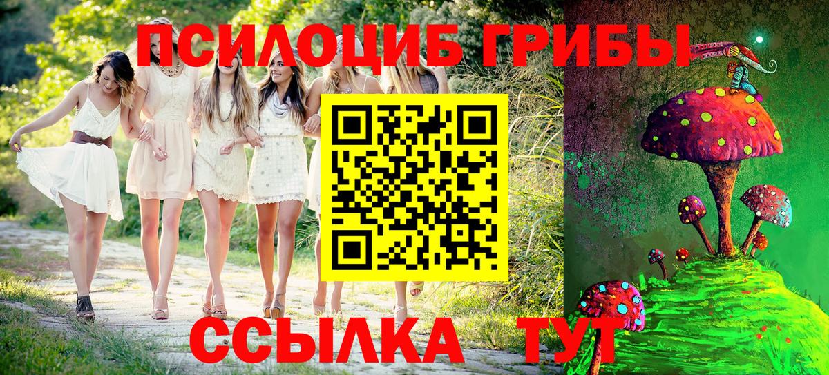 Псилоцибиновые грибы прущие грибы  Псилоцибиновые грибы Psilocybe  Вход с VPN  Александров 